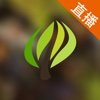 视频直播盒子 For Dota 2