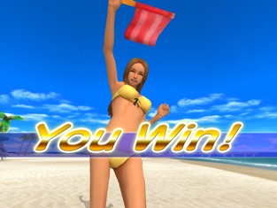 Beach Flag Paradise, game for IOS