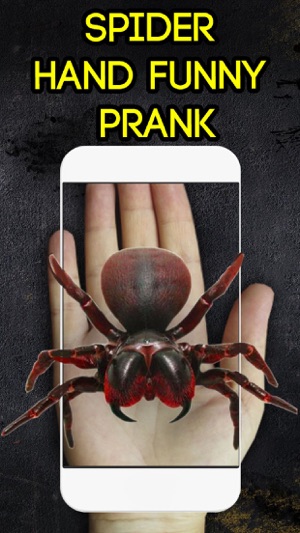 Spider Hand Funny Prank(圖3)-速報App