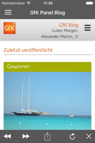 GfK Link - náhled