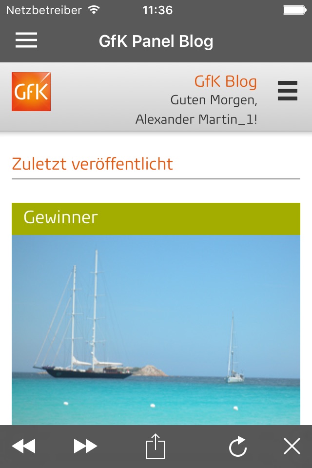 GfK Link screenshot 2