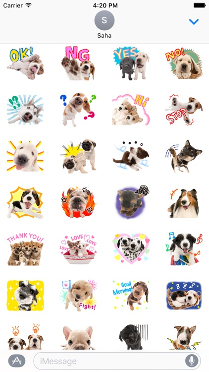 Funny Dogs Stickers