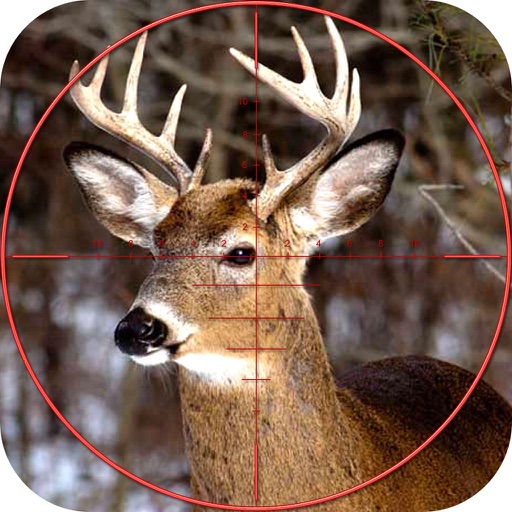 Deer Sniper Hunter 2016 icon