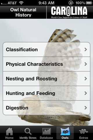 Owl Pellet Activities Lite screenshot 4