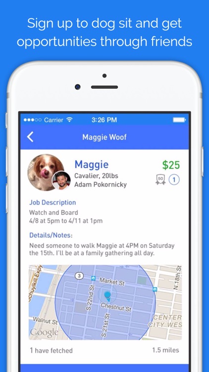 Doggy Buddies (DoggyBnB) - dog sitting network screenshot-4