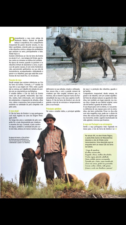 Cães & Companhia revista screenshot-4