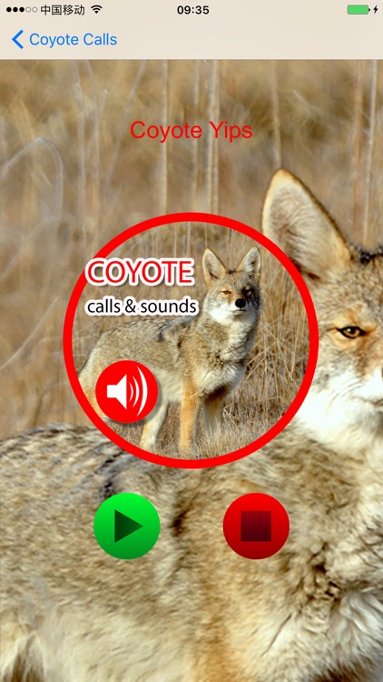 coyote sounds pack