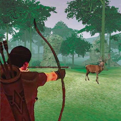 Archery Hunting 3D Icon