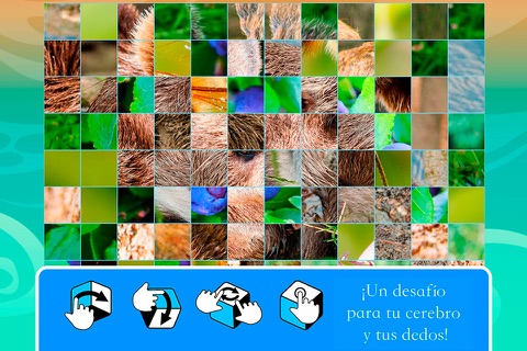 Smart Cubes: forest animals puzzle games for kids screenshot 3