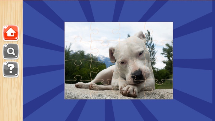 Dog Jigsaw Puzzles Games Kids
