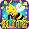 Insect Clans Slot Machine: Learn To Win Coins