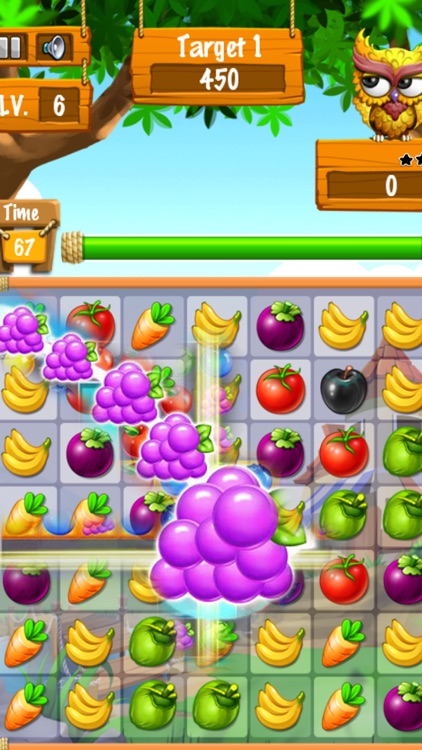 Fruit Candy Family Mania