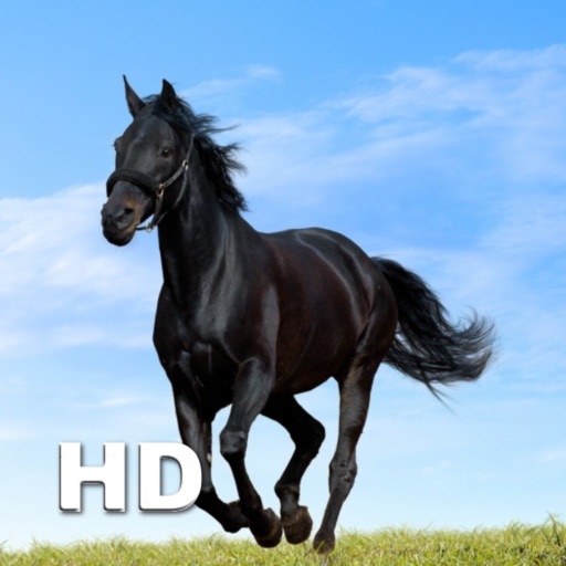 Horse Encyclopedia for iPad icon