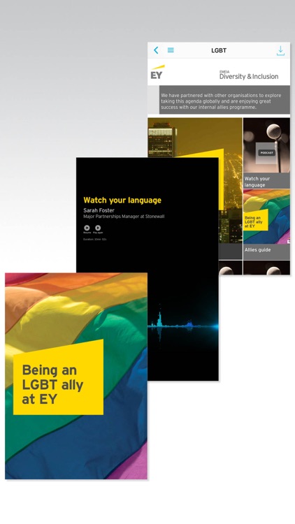 EY EMEIA Diversity and Inclusion screenshot-3