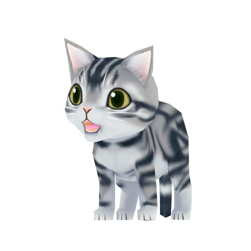 Kitty Cat 3D Animated Stickers: American Shorthair icon