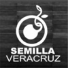 Semilla Ver