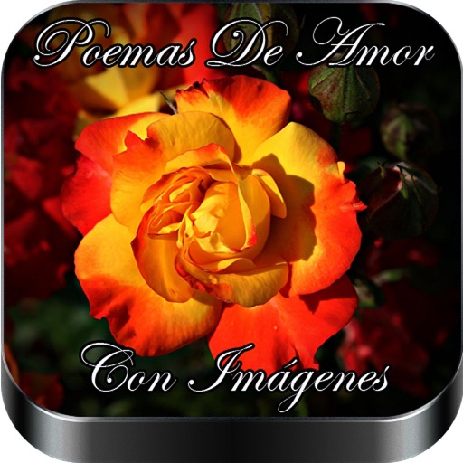 Poemas De Amor Con Imagenes