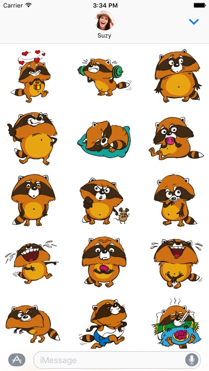 Crazy Raccoon Pet Stickers for iMessage