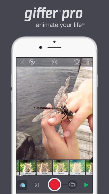 Giffer Pro - Animated GIF Maker App