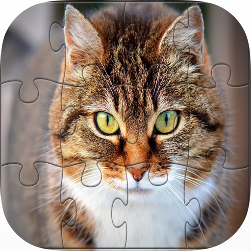 Cute Kitten Cat Jigsaw Puzzle Games For Kids Icon
