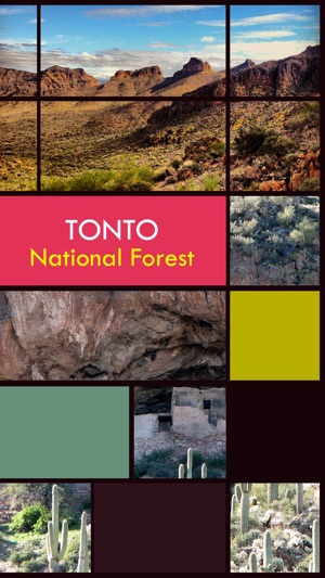 Tonto National Forest