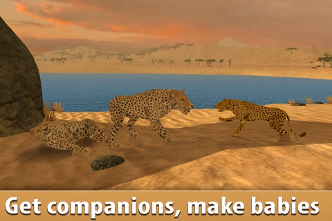 African Cheetah: Wild Animal Simulator 3D Full screenshot 2