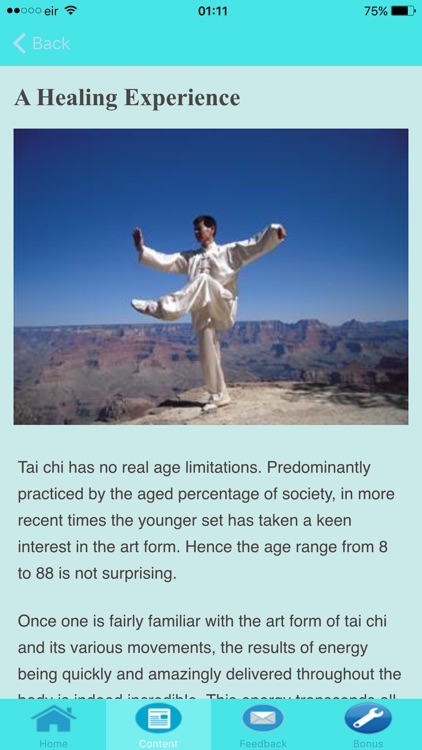 Tai Chi For Beginners - Stages of Development screenshot-3