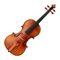 Violin is an instrument like flute,clarinet,trombone and many others, but vialon in particular has a charming voice that let people fall in love with it, are you one of those people who love vilone that much