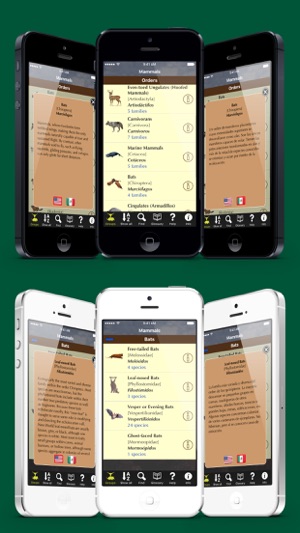 Alaska Mammals - Guide to Common Species(圖4)-速報App