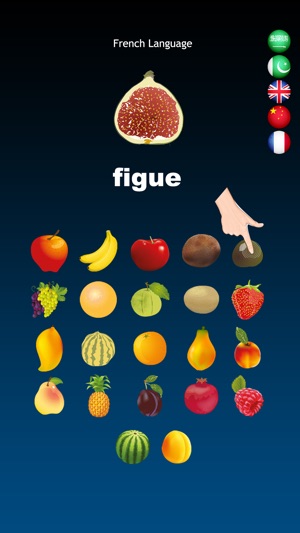 Fruits Dictionary Multilingual(圖3)-速報App