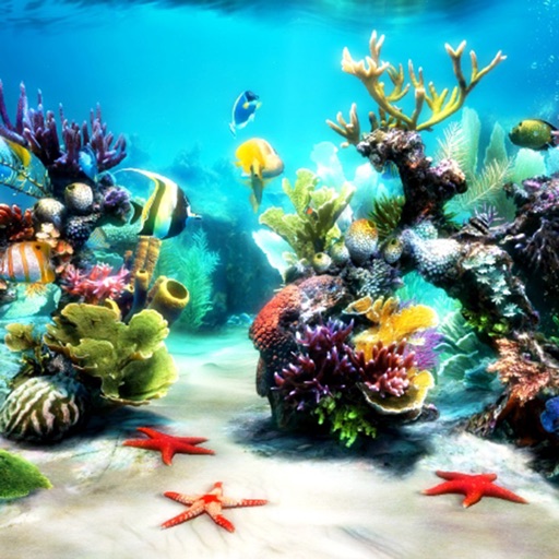 Amazing Aquarium Sticker