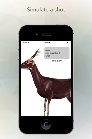 Deer Anatomy screenshot 2