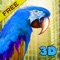 City Parrot Simulator 3D