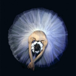 Ballet Wallpapers HD- Quotes with Art Pictures