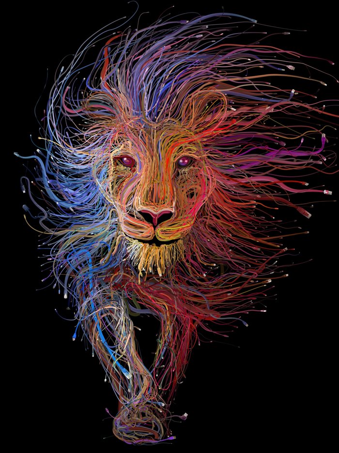 the best wall QHD خلفيات مميزة وعالية الجودة