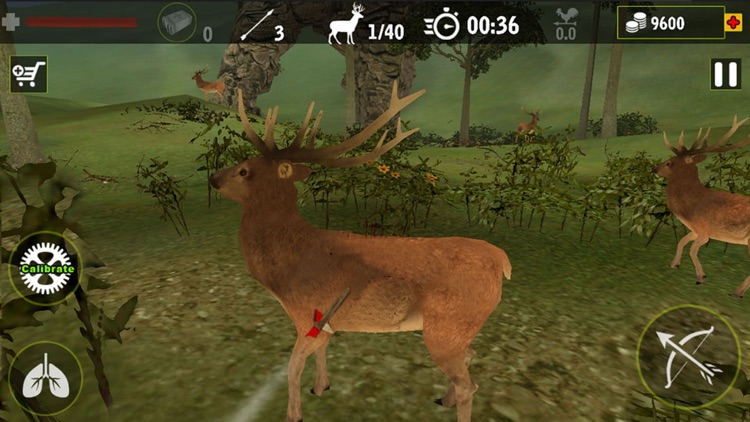 Real Archery King : Top Free Archery Shooting Game screenshot-3