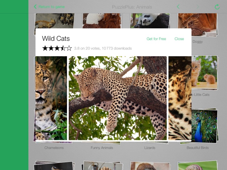 Jigsaw Puzzles Animals
