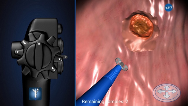 Endoscopy in Dogs(圖4)-速報App