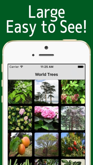 World Trees!(圖3)-速報App