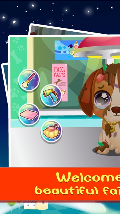 Pet Care House:Pet care game