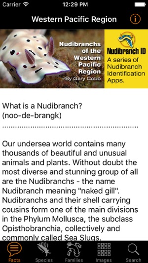 Nudibranch ID Western Pacific(圖2)-速報App