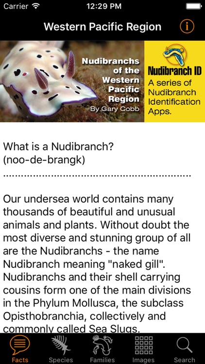 Nudibranch ID Western Pacific