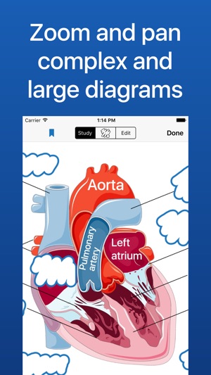 Flashcards for Diagrams - Diagram Flashcard Maker(圖3)-速報App