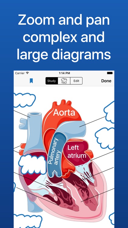 Flashcards for Diagrams - Diagram Flashcard Maker