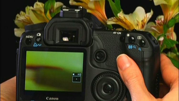 Canon 5D Mark II & 50D HD - Advanced Topics screenshot-4