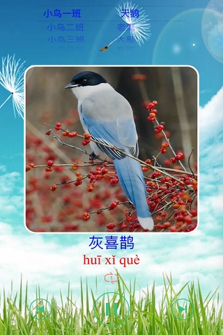小鸟的叫声汉字拼音版 screenshot 3