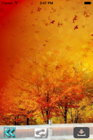 Autumn Wallpaper : Best Theme & LockScreens screenshot 4