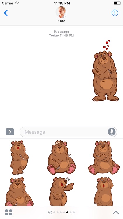 Big Bear - Stickers for iMessage