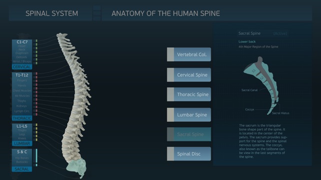 Spinal System(圖5)-速報App