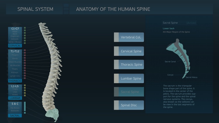 Spinal System screenshot-4
